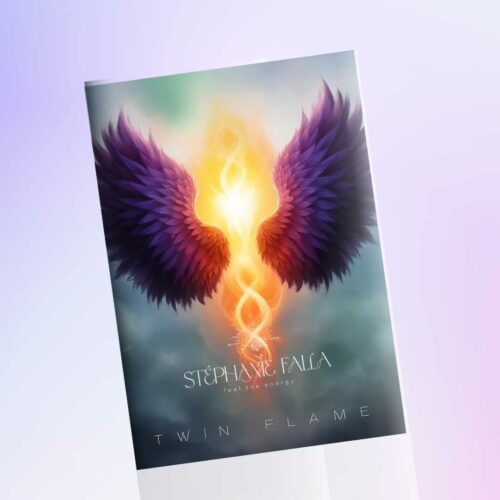 TWIN FLAME le livre de l'amour inconditionnel